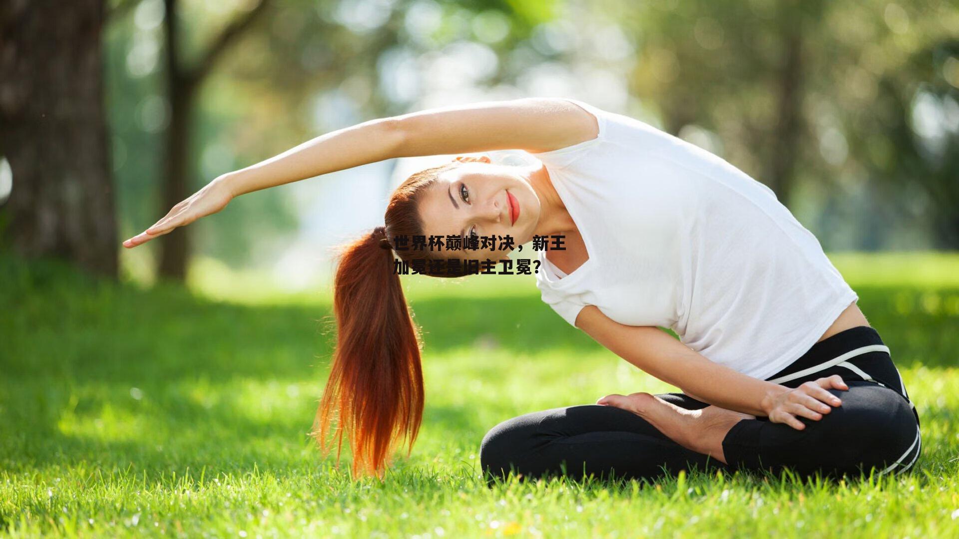 世界杯巅峰对决,新王加冕还是旧主卫冕?